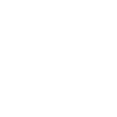 Competitive rates on all of our courier services